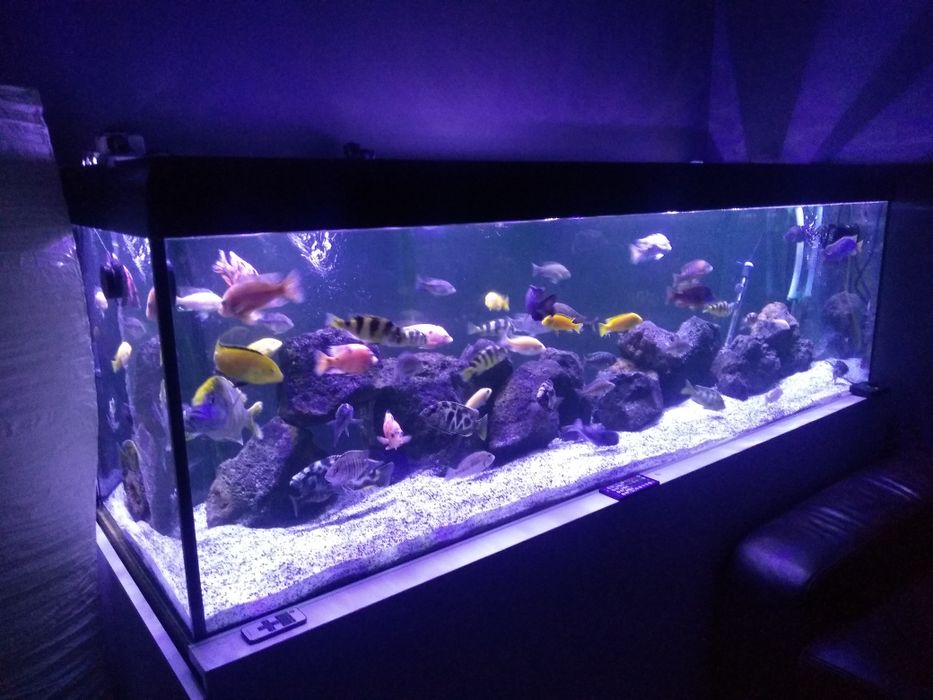 Oświetlenie do akwarium LED na wymiar,Akwarium morskie,słodkowodne