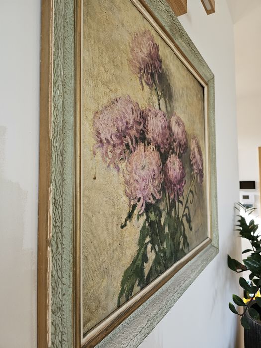 Chryzantemy Jarosiewicz