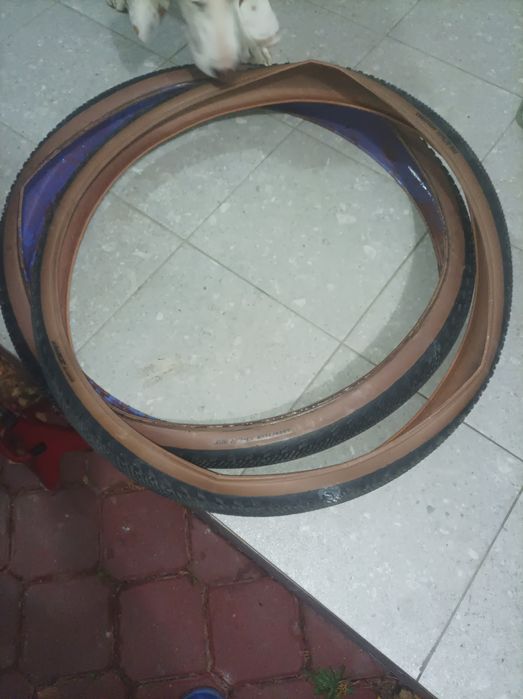 Opony zipp xplr gravel