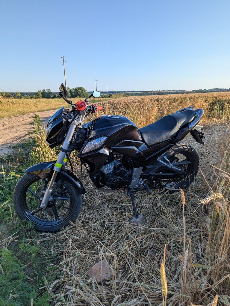 Forte ft 250 cka