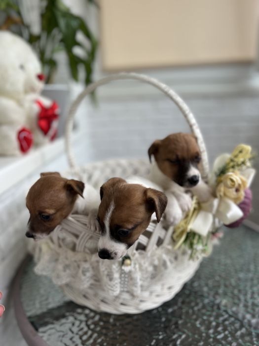 Милі дівчатка та хлопчики