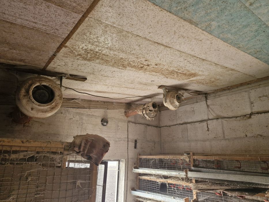 Обладнання для перепелиної ферми