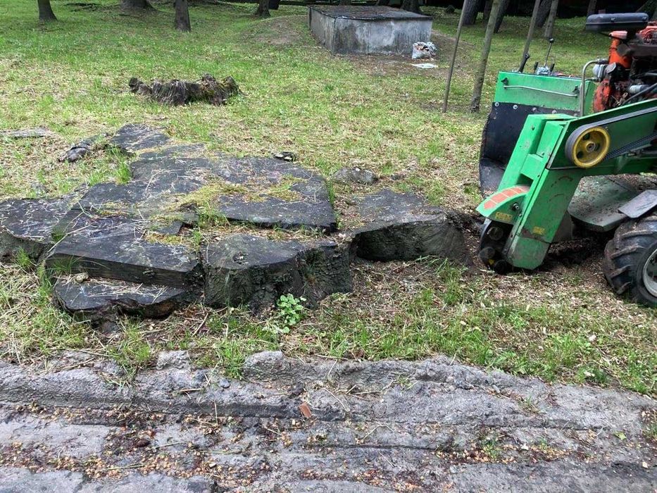 Karczowanie czyszczenie i rekultywacja działek mulczer leśny, wycinka