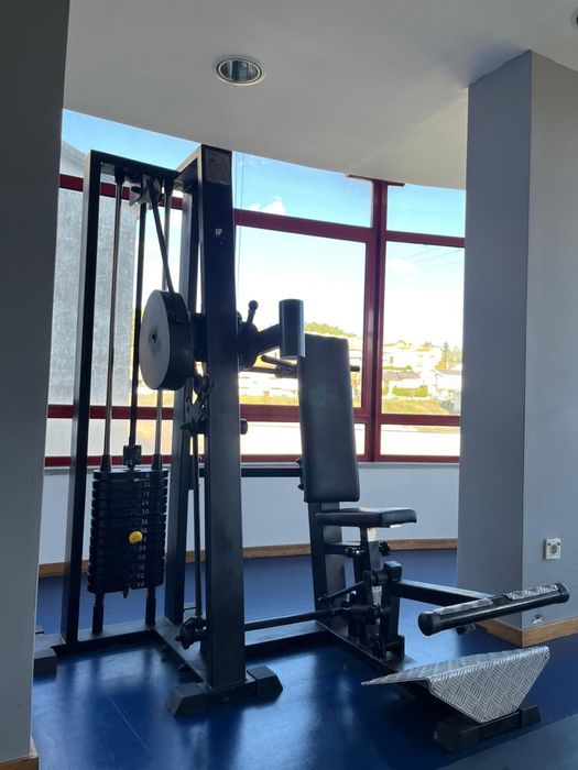 Máquina de Tricep (Frances)