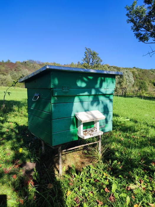 Вулики з бджолами, Бджолосімї, Вулики.