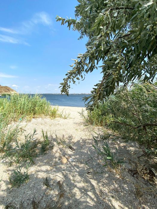 Продаж будинок на ділянці 16 соток, Велика Корениха, перша половина