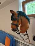 Hobby horse ujeżdżeniowy