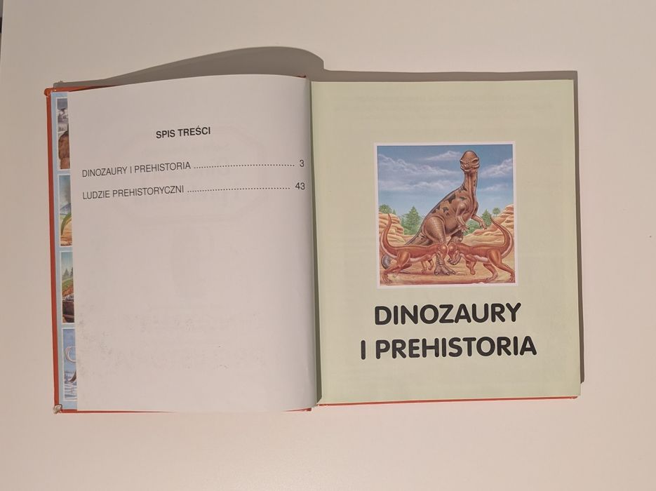 Świat w obrazkach Dinozaury i prehistoria książka dla dzieci