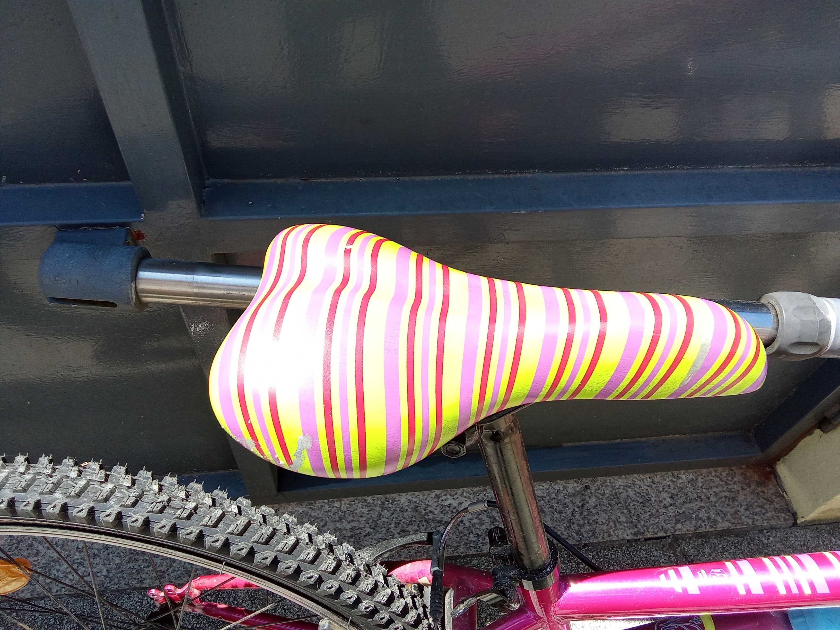 Bicicleta menina