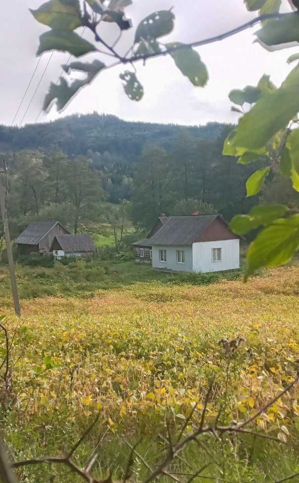 Будинок, дача під горами, 25 соток + 1,75 га поля, є документи