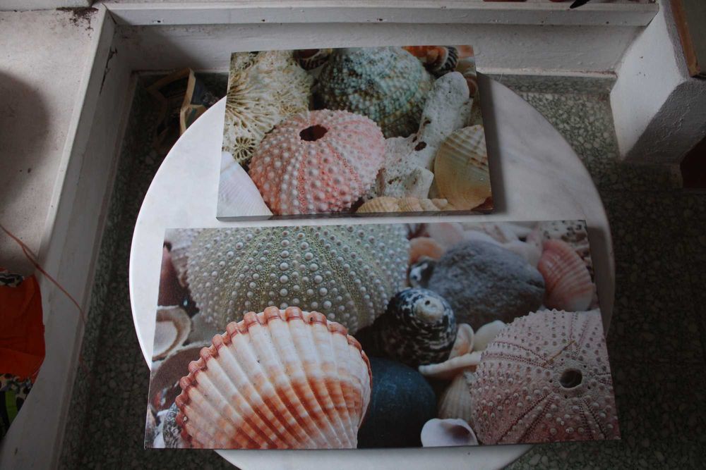 Diversos quadros (PARA DESPACHAR)