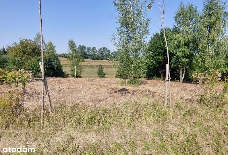Trzy działki budowlane - Michałowice