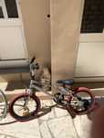 Bicicleta bmx criança roda 16 polegadas