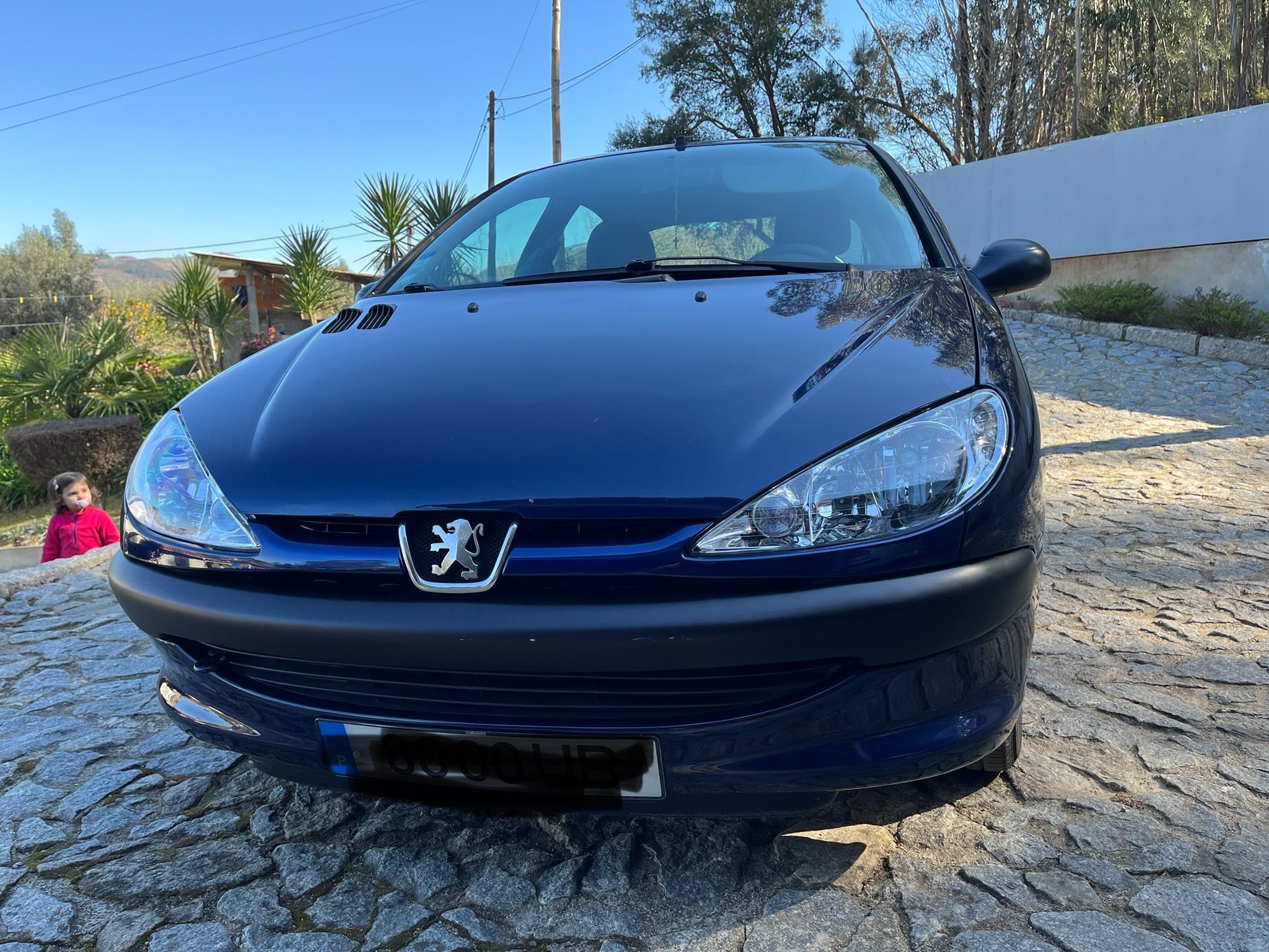Peugeot 206 a gasolina de 2002