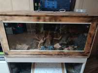 Sprzedam terrarium dla węży