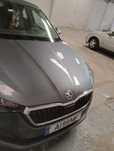 Skoda Scala - Veículo gasolina