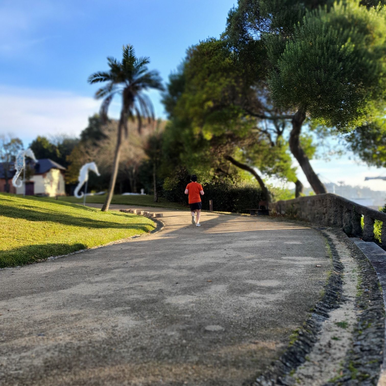 Personal trainer, o seu treinador