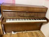 Pianino firmy  GEYER