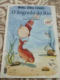 O segredo do rio