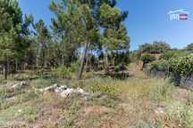 Terreno Com Area De 3870 M2 Uma Parte Para Construção Em Casal Velh...