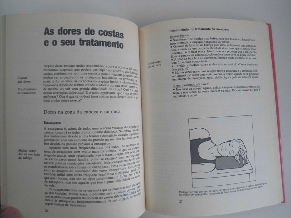 Tratamento Natural das Dores das Costas de Renate Zauner