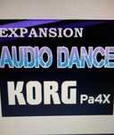 Korg pa4x Karta ADP Camaro
