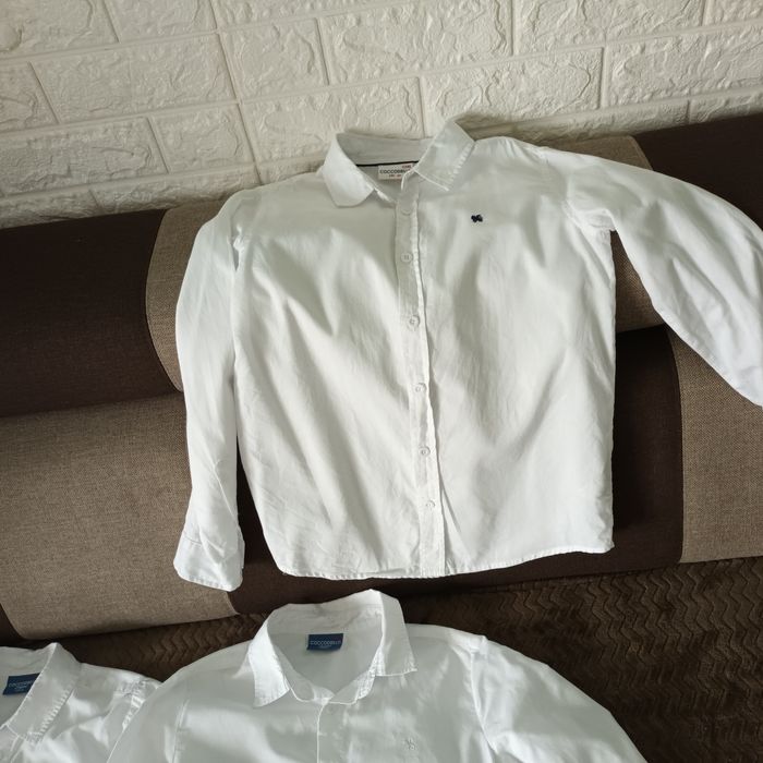 Koszule cocodrillo 140