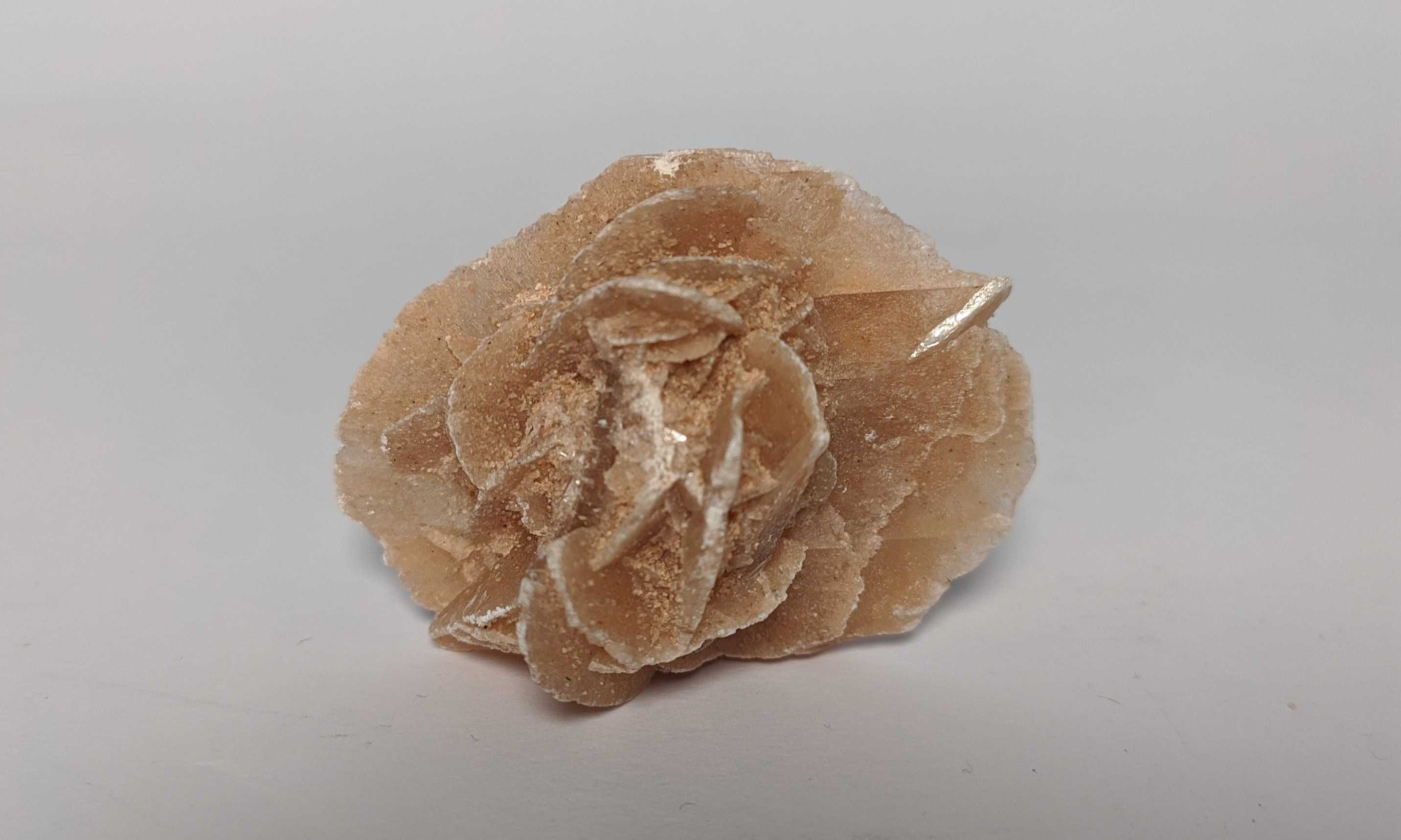 Róża pustyni.  Średnica ok. 5 cm