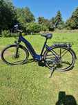 Rower elektryczny, E-bike Victoria