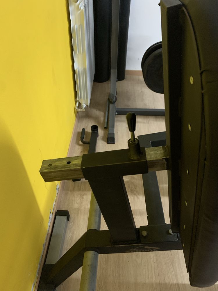 Leg Curl/Extension