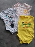 Body r. 62, 51015