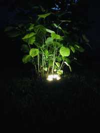 Садовий ліхтар на сонячній батареї LED8+4