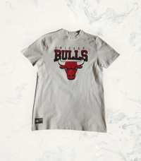 Чоловіча футболка Chicago Bulls NBA