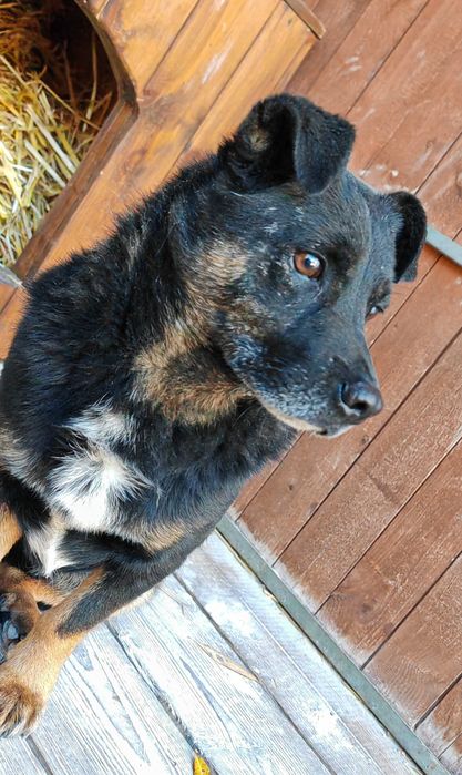 Czyja zguba? Sandomierz