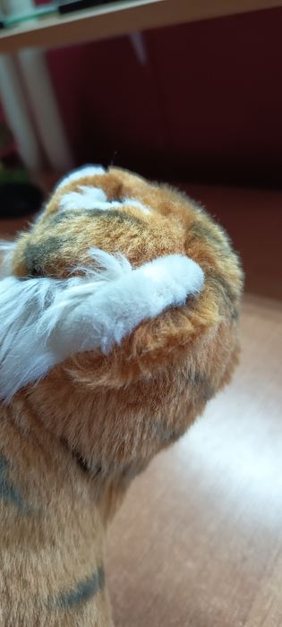 Mała maskotka tygryska