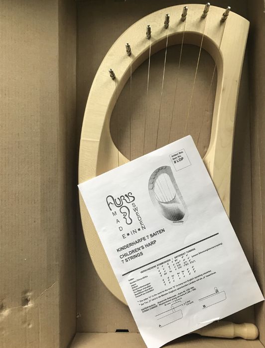 Музичний інструмент