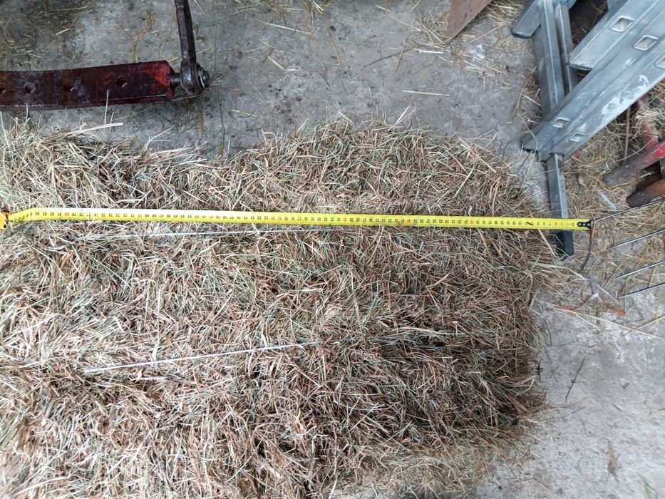Sprzedam siano w kostkach