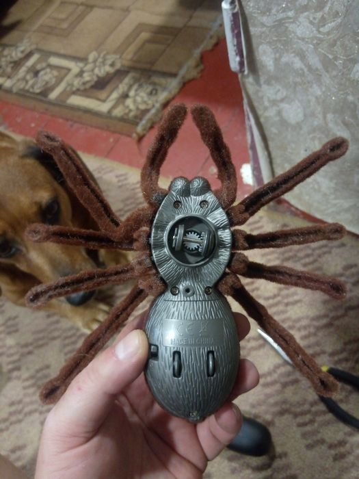 Игрушка паук на радиоуправлении