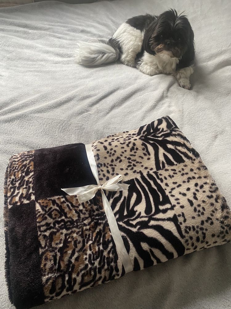 poduszka plus poszewka 60/60 cm zwierzecy wzór zebra
