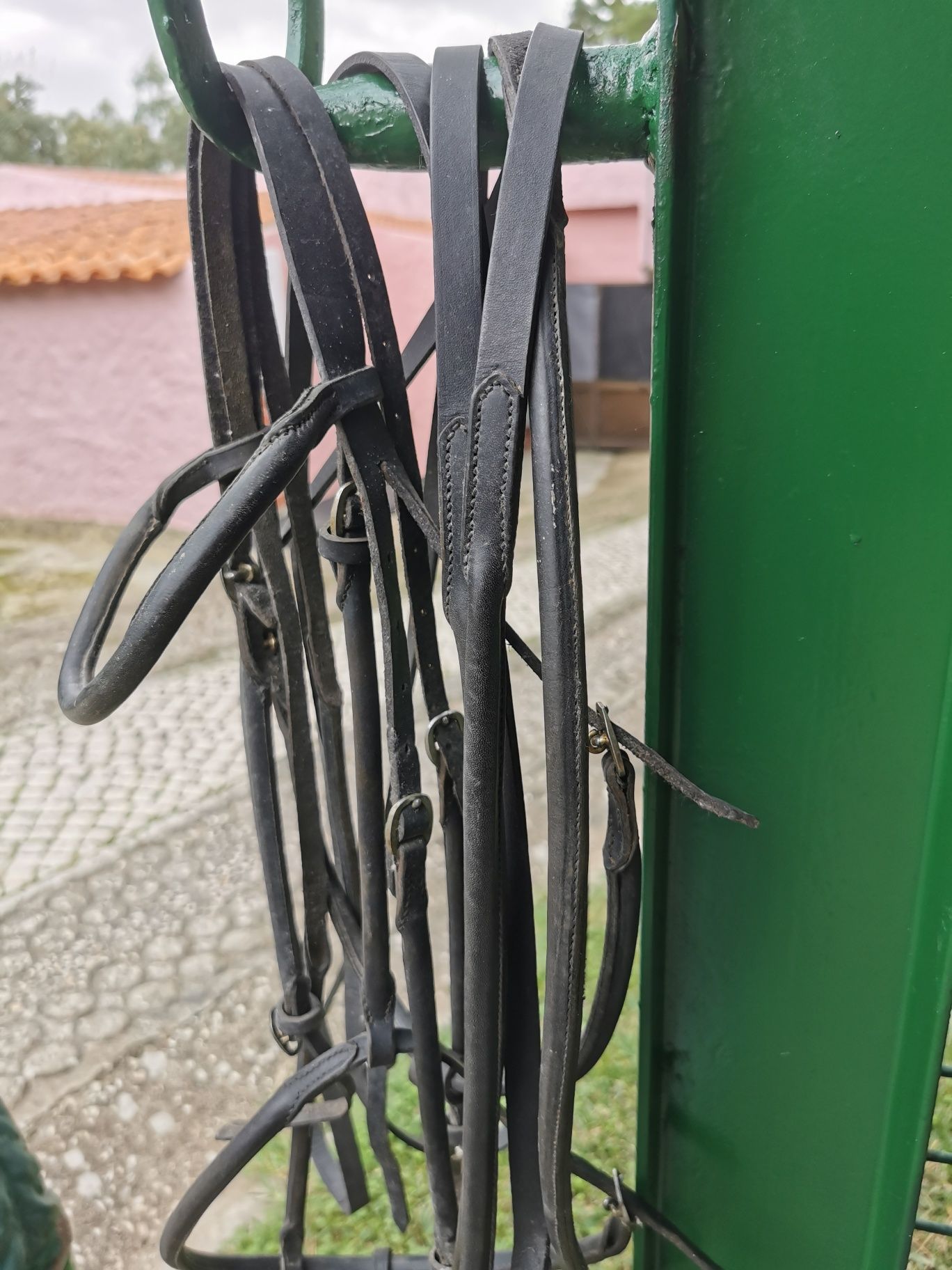 cabeçada à inglesa