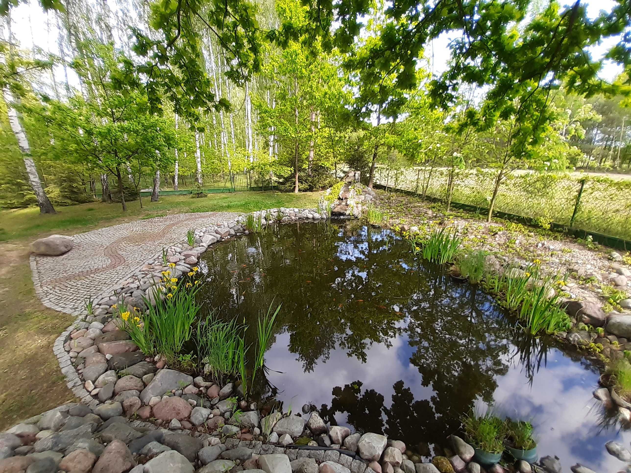 Maraga luksusowy domek drewniany basen boisko Mielec