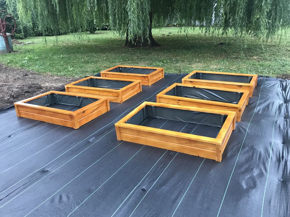 Skrzynia, inspekt, warzywniak. Promocja luty/marzec - zamów dziś