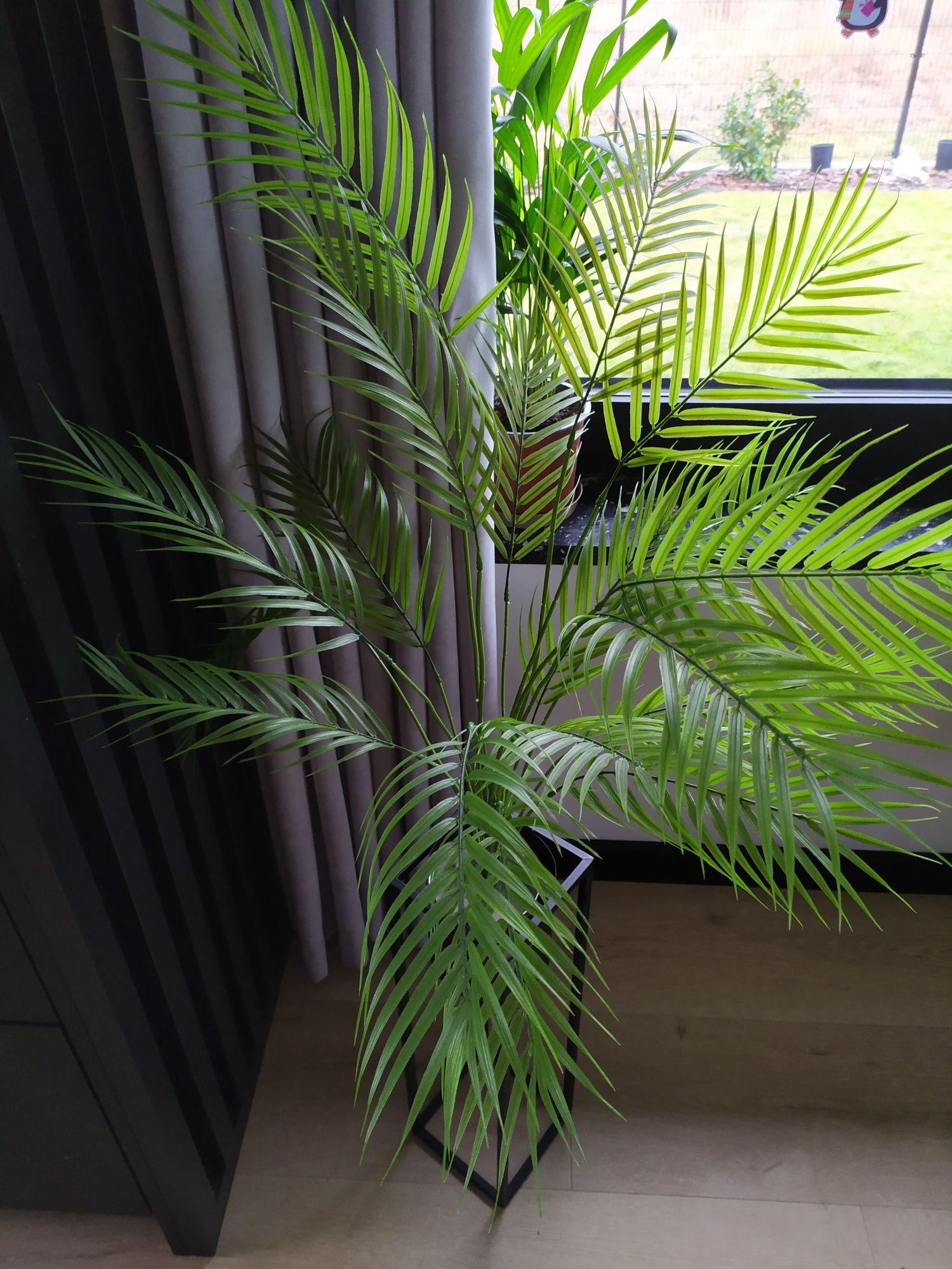 Duża piękna palma