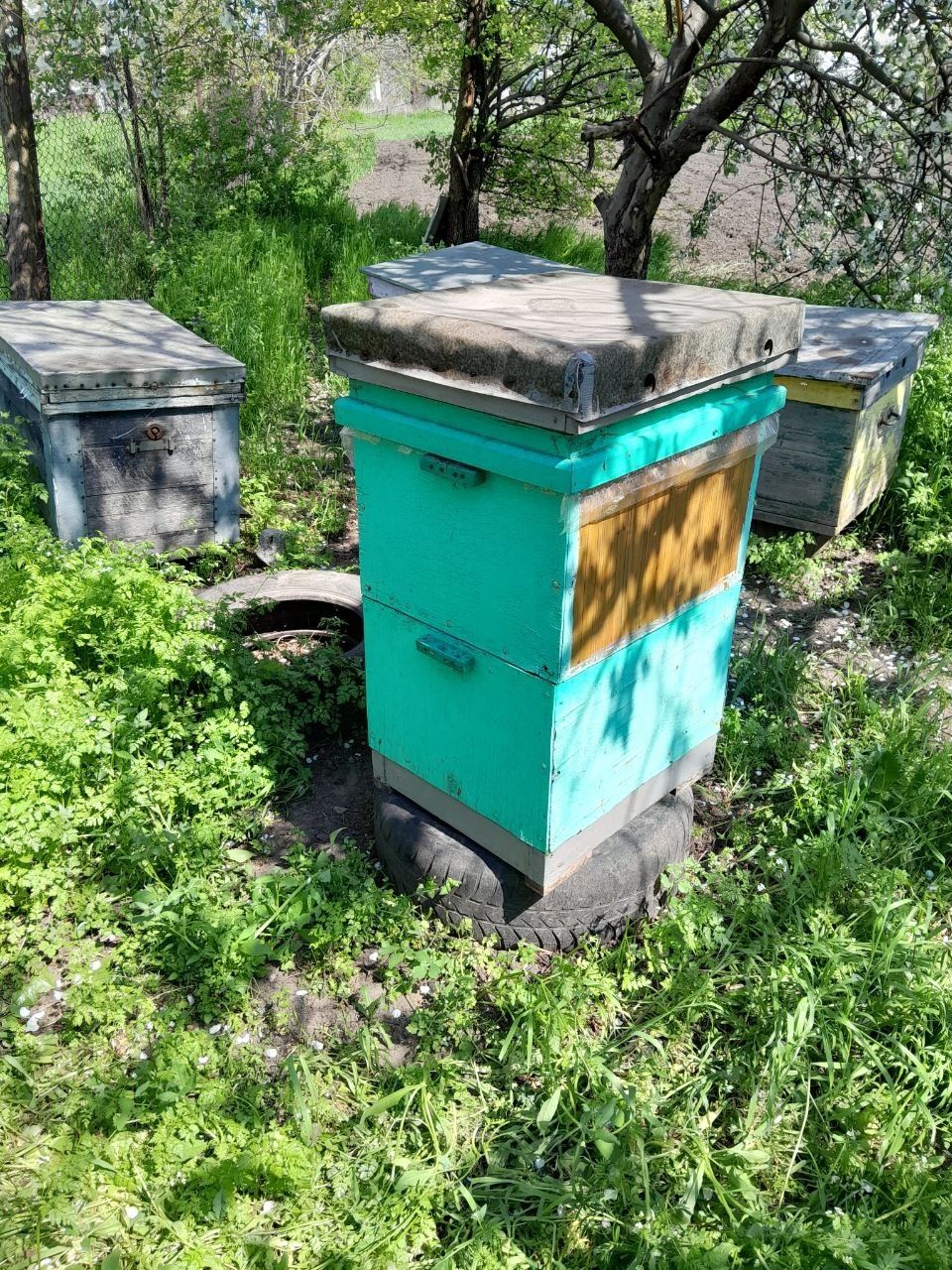 Продам вулики, медогонку і інвентар