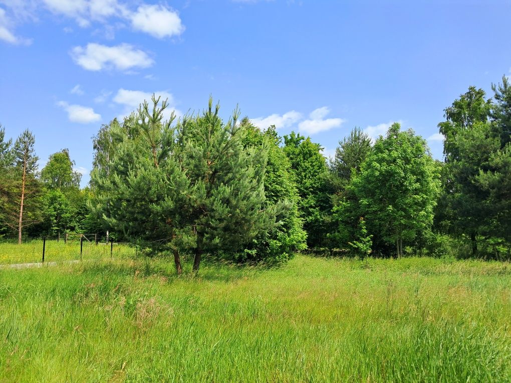 Działka Z Mikro Lasem koło Częstochowy Krasice