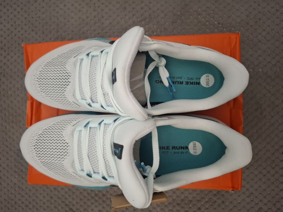 Кросівки Nike Air ZOOM PEGASUS 41