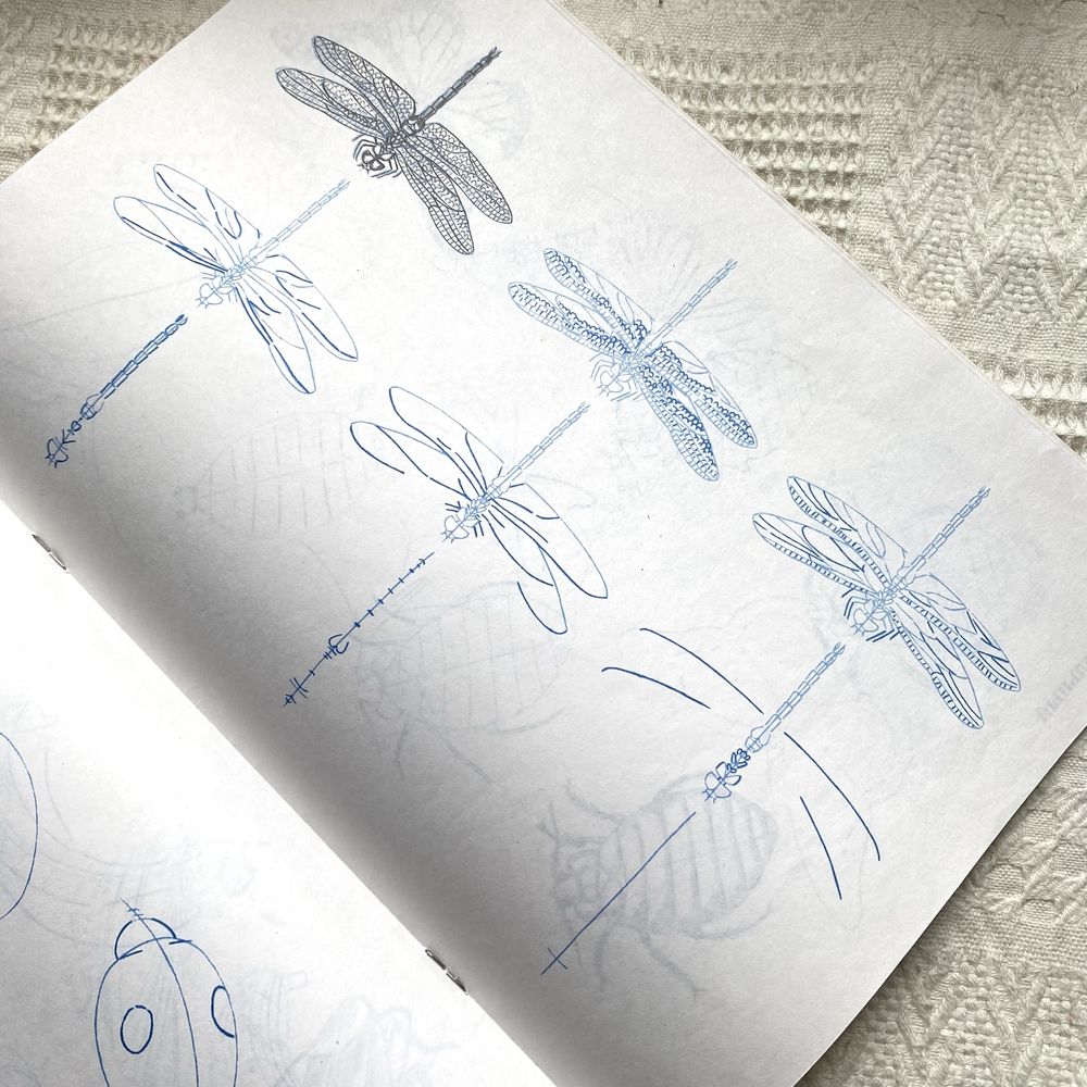 рисуем 50 насекомых т рисуем 50 животных книга альбом