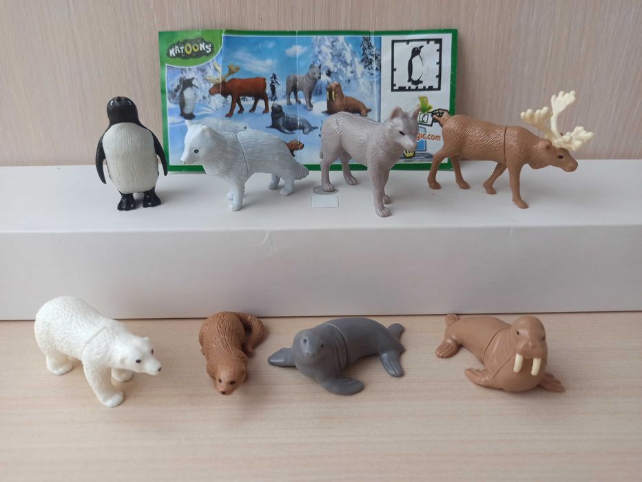 Полярні тварини, Африканські тварини, тварини півдня, Кіндер натунс