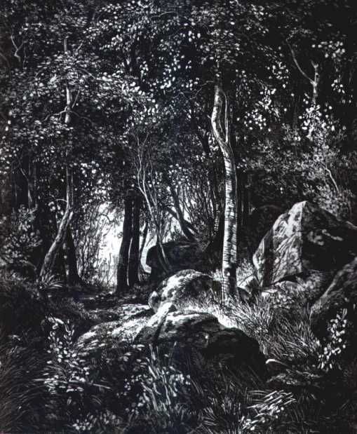 4 prace tworzące cykl pt."Puszcza"