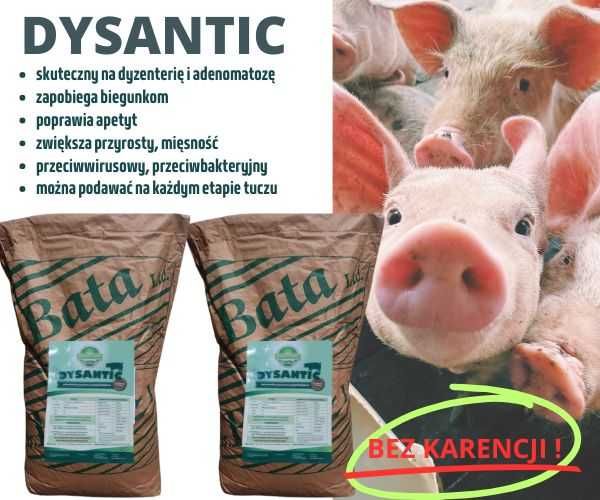 Dysantic 10kg preparat na problemy z biegunką/dyzenterią u trzody,